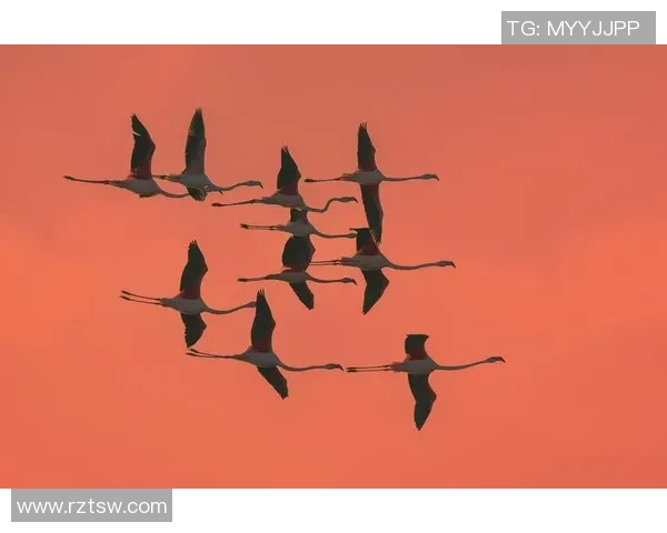 盐城湖与伐木者的对决探讨生态保护与资源开发的平衡之道